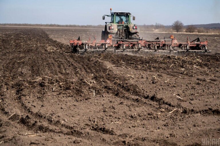 Ціни на землю в Україні стрімко зростають попри війну: скільки коштує гектар зараз