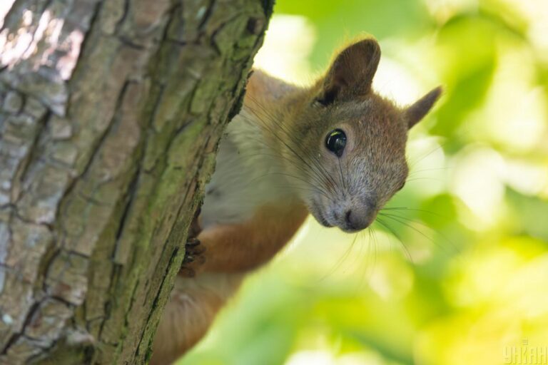 В Україні різко похолоднішає: температура впаде на 3-7 градусів