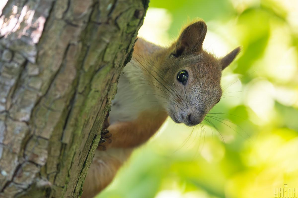 В Україні різко похолоднішає: температура впаде на 3-7 градусів
