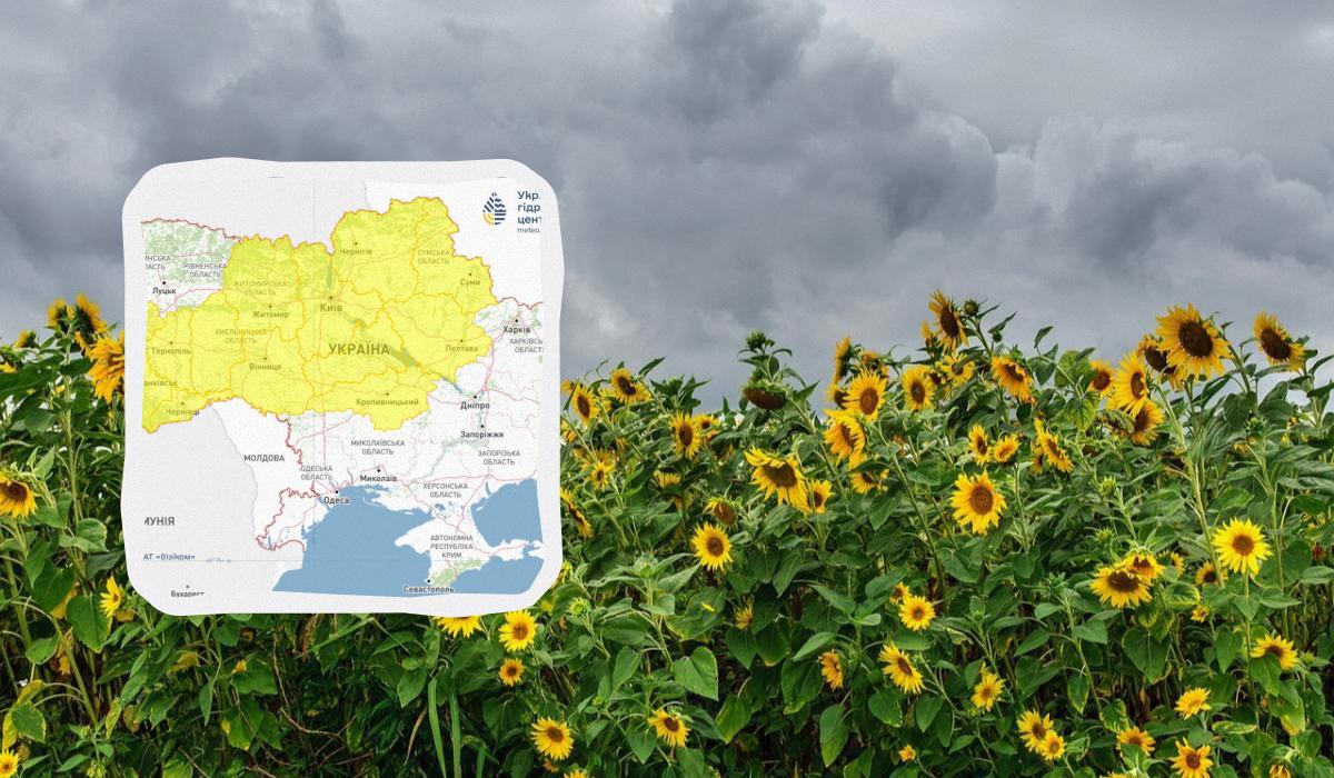 В Україні оголосили І рівень небезпеки: які області охопить негода (карта)