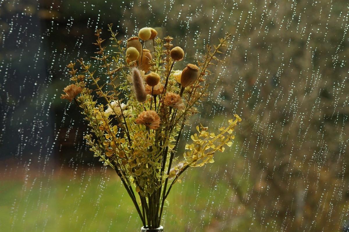 До України мчить осіннє похолодання з дощами та грозами