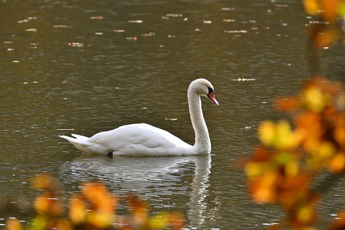 10 вересня погода в Україні зміниться