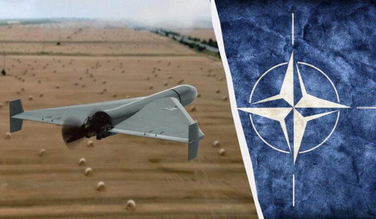 П’ятої статті НАТО не буде: експерт пояснив, як діятиме Польща після прильотів дронів РФ