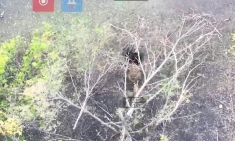 "Збудували цілу логістичну артерію": росіяни через газову трубу заходять у Куп'янськ, - Deep State