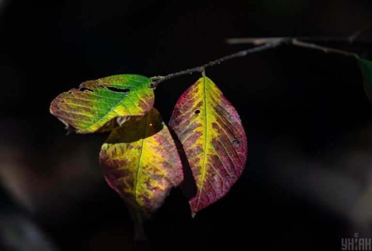 25-вересня-холодно-стане-вже-по-всіи-украіні-c28ec0f3