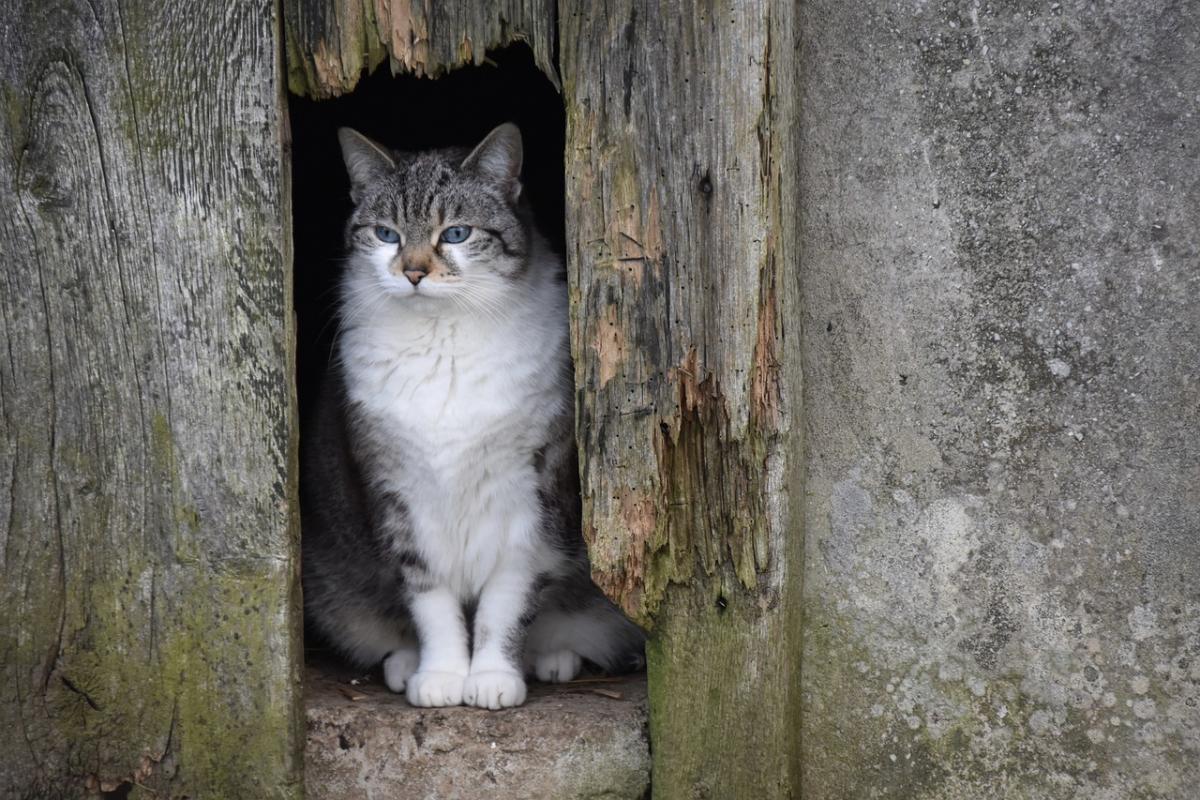 буде-холодяка-синоптикиня-назвала-області-де-28-вересня-впад-3089d34a