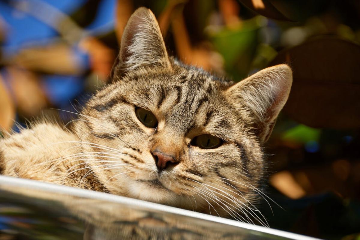 на-вихідних-в-украіні-стане-трохи-тепліше-але-є-нюанс-11283cb0