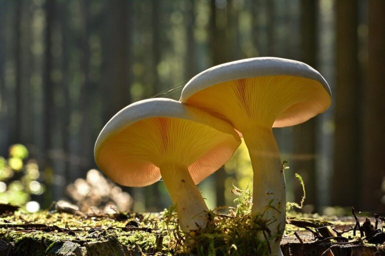 сьогодні-украіну-розігріє-до-19-де-буде-наитепліше-5ce5fdb2