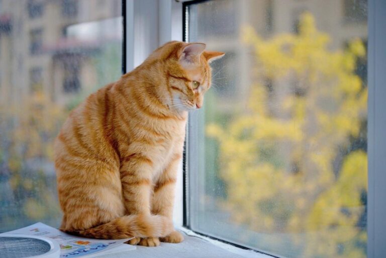 синоптикиня-діденко-повідомила-як-зміниться-погода-в-украіні-7b16c10f