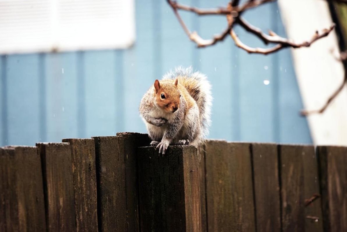 18-листопада-в-украіну-увірветься-сильне-похолодання-темпера-eefc54bb