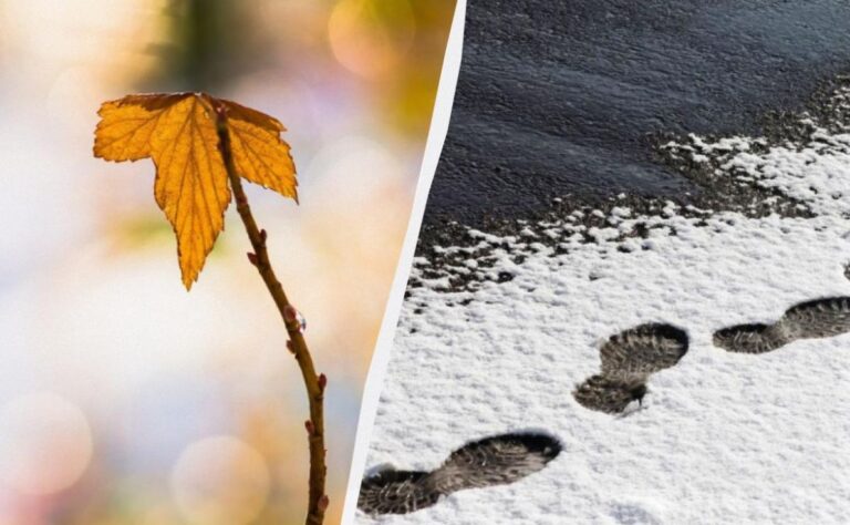 і-потепління-до-20-і-мокрии-сніг-синоптикиня-розповіла-про-п-b0233063