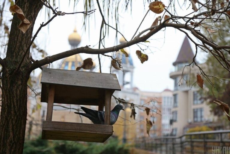 погода-буде-контрастною-синоптикиня-розповіла-кому-пощастить-215242da