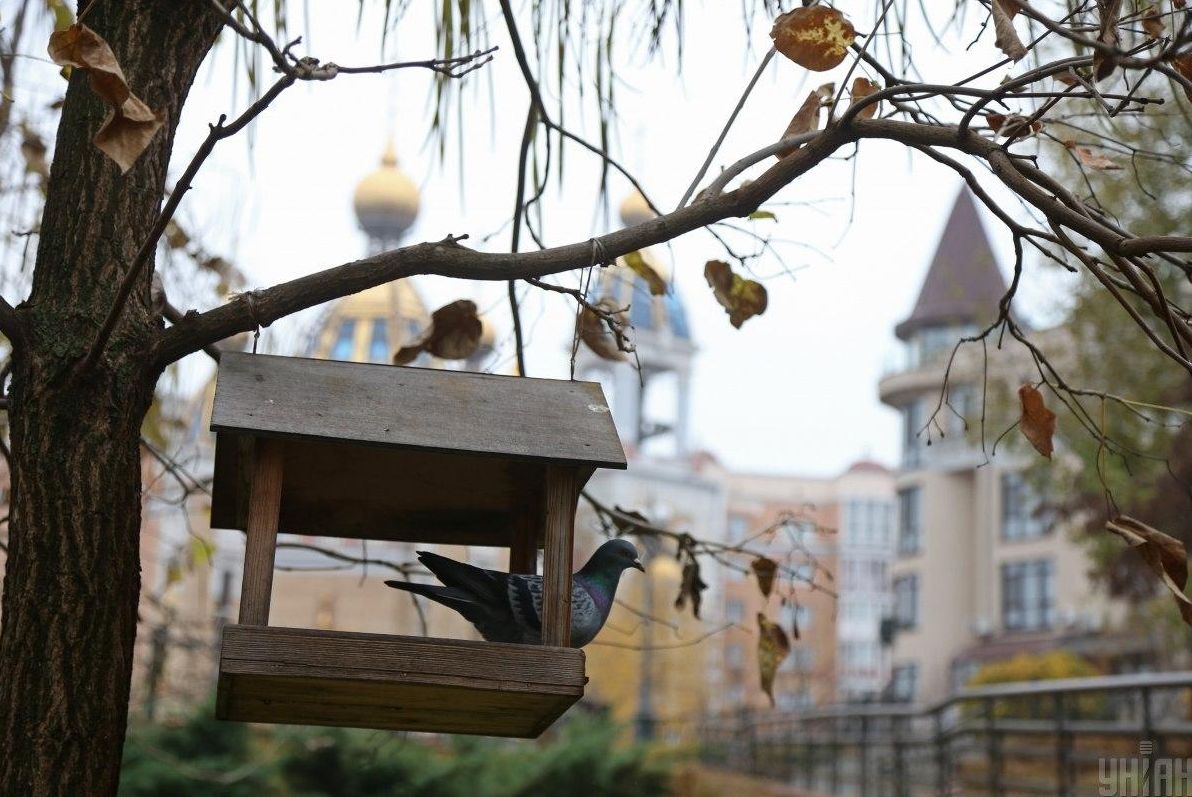 погода-буде-контрастною-синоптикиня-розповіла-кому-пощастить-215242da