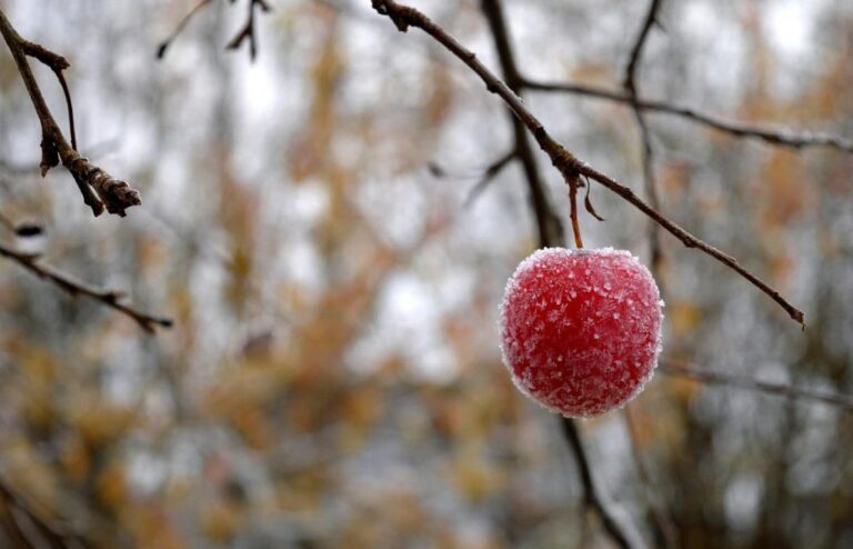 синоптики-повідомили-коли-температура-в-украіні-впаде-до-5-5abd6ea1