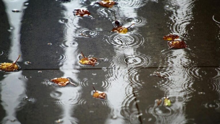 синоптикиня-діденко-назвала-області-які-в-понеділок-будуть-з-5cf6751b