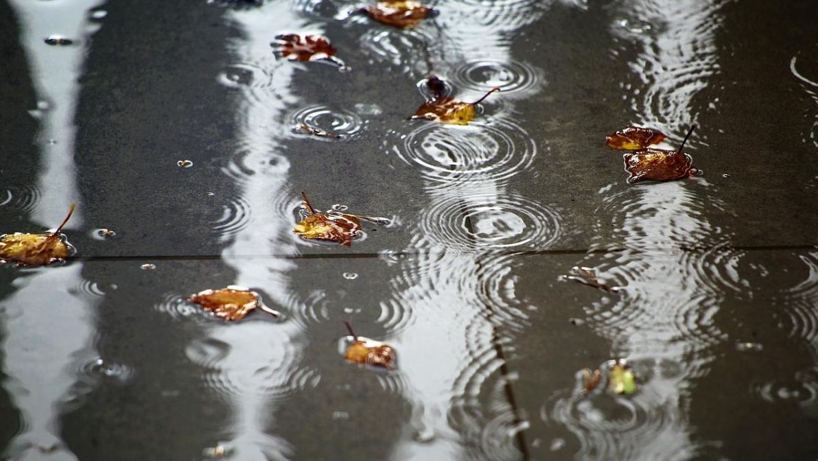 синоптикиня-діденко-назвала-області-які-в-понеділок-будуть-з-5cf6751b