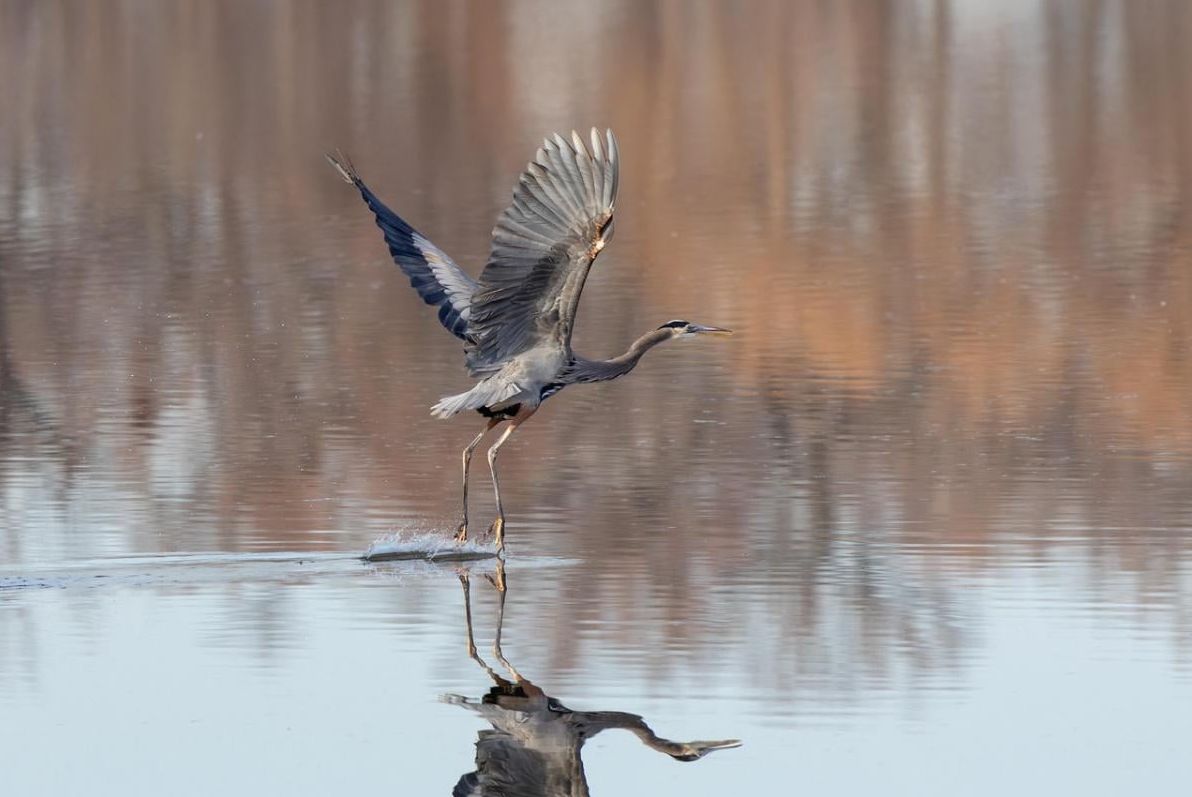 синоптикиня-назвала-точну-дату-коли-в-украіні-трохи-потепліш-1be64c78
