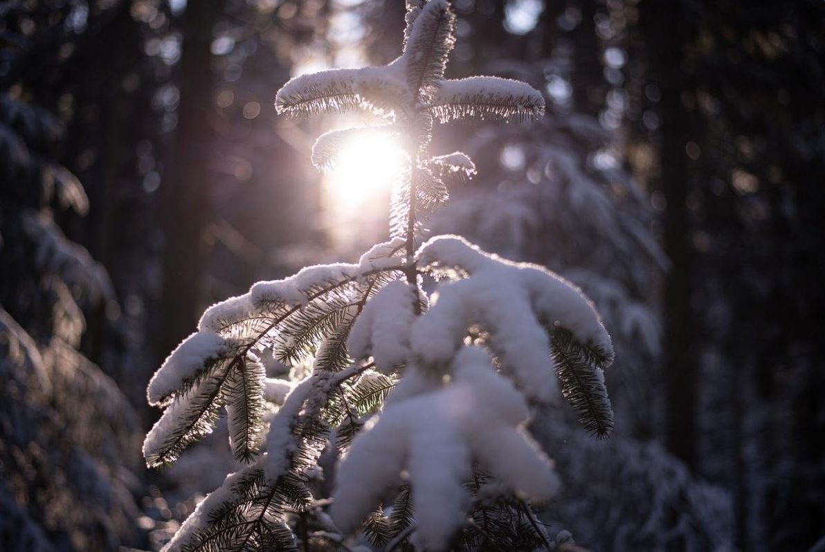 в-неділю-украіну-накриє-мокрим-снігом-і-дощами-де-чекати-опа-70448be0