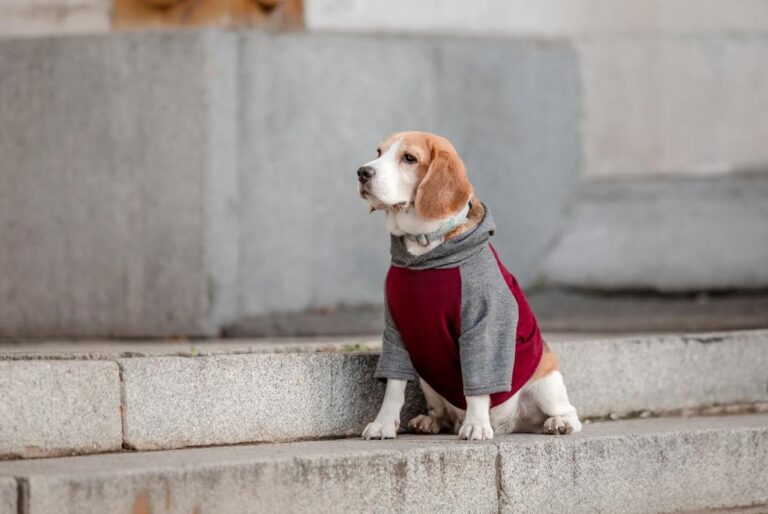 13-грудня-в-украіні-помітно-похолоднішає-95e5f47f