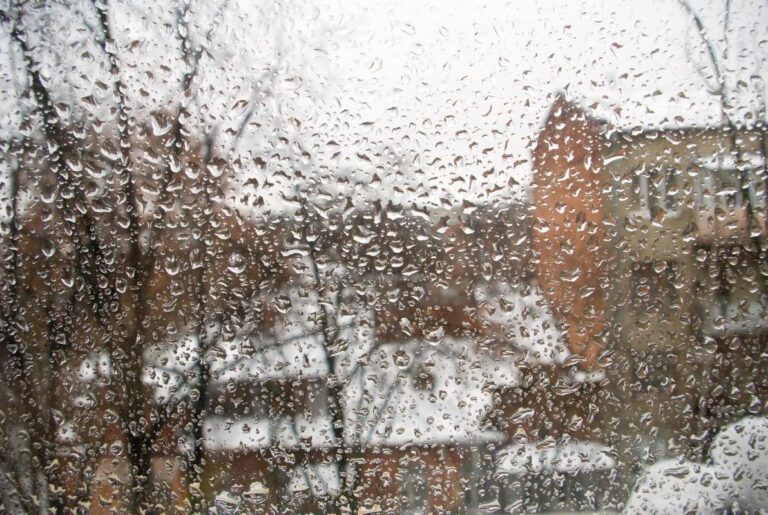 14-грудня-погода-в-украіні-зіпсується-синоптикиня-зробила-не-e36ba89c