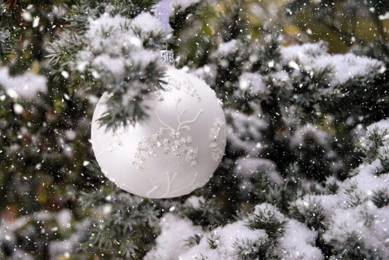 2025-рік-завершиться-в-украіні-красивою-зимовою-погодою-сино-7327e31c