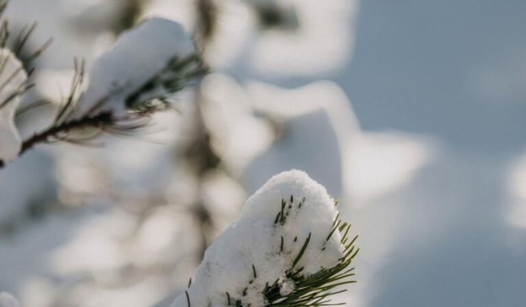 30-грудня-сильних-морозів-в-украіні-не-буде-але-є-неприємнии-1c955979