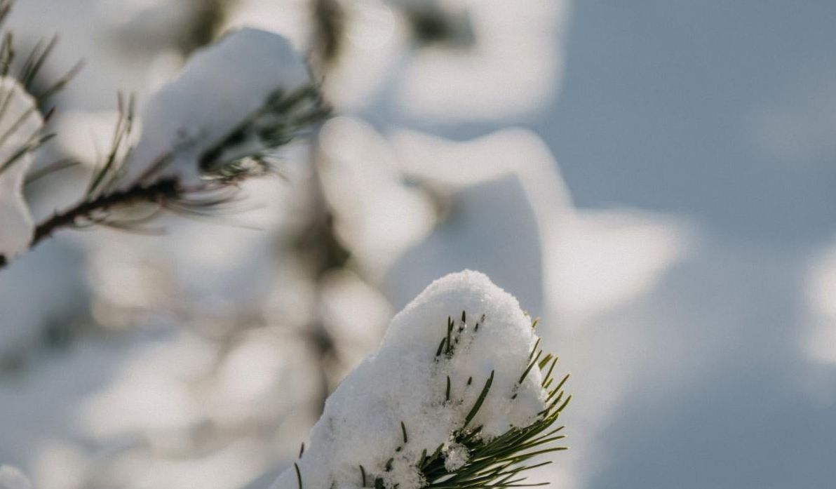 30-грудня-сильних-морозів-в-украіні-не-буде-але-є-неприємнии-1c955979