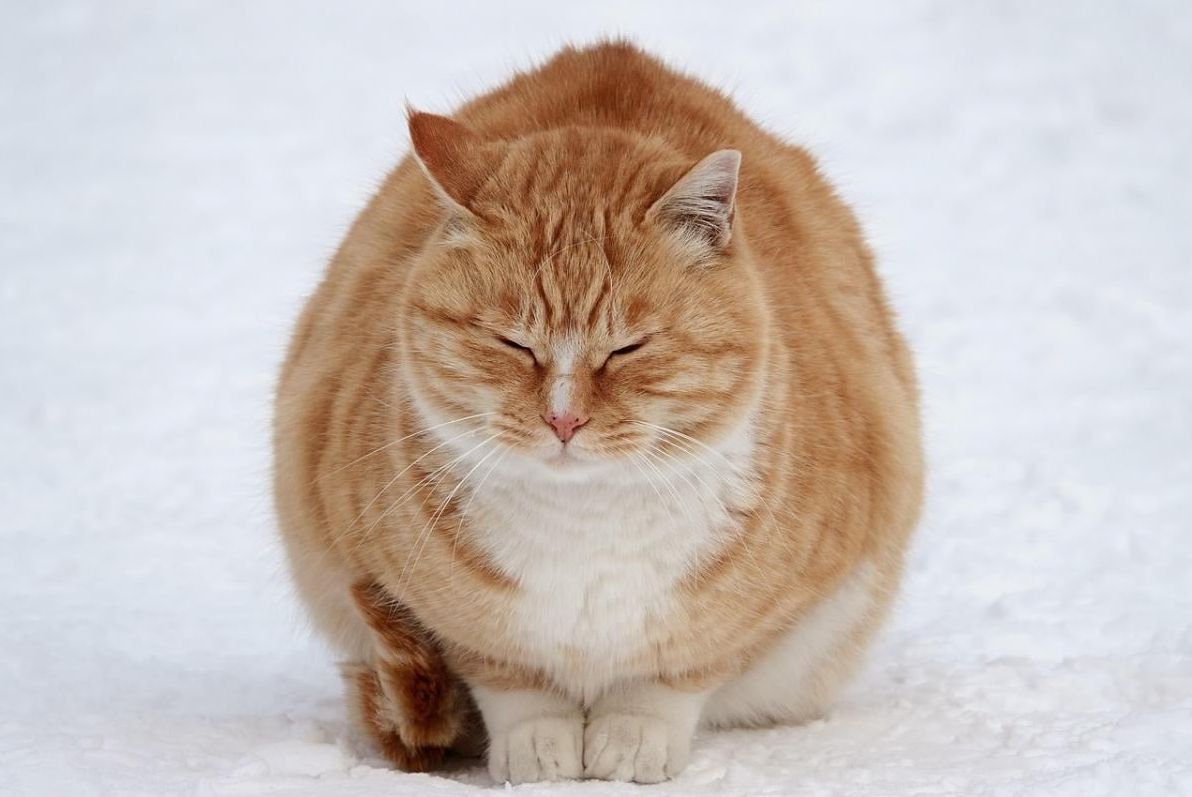 кінець-грудня-принесе-мінуси-синоптикиня-назвала-дату-похоло-ced29c66