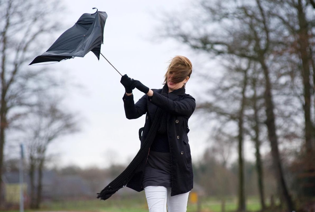 синоптикиня-діденко-повідомила-про-негоду-12-грудня-26b0886b