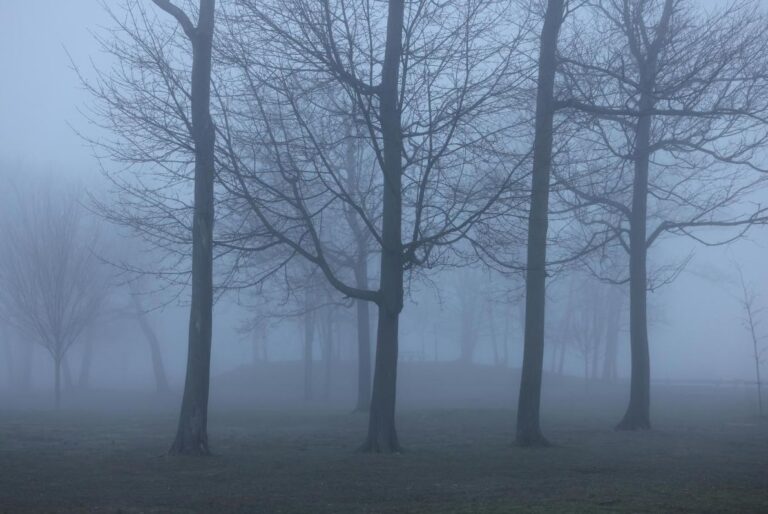 у-семи-областях-украіни-оголосили-жовтии-рівень-небезпеки-ка-e993756a