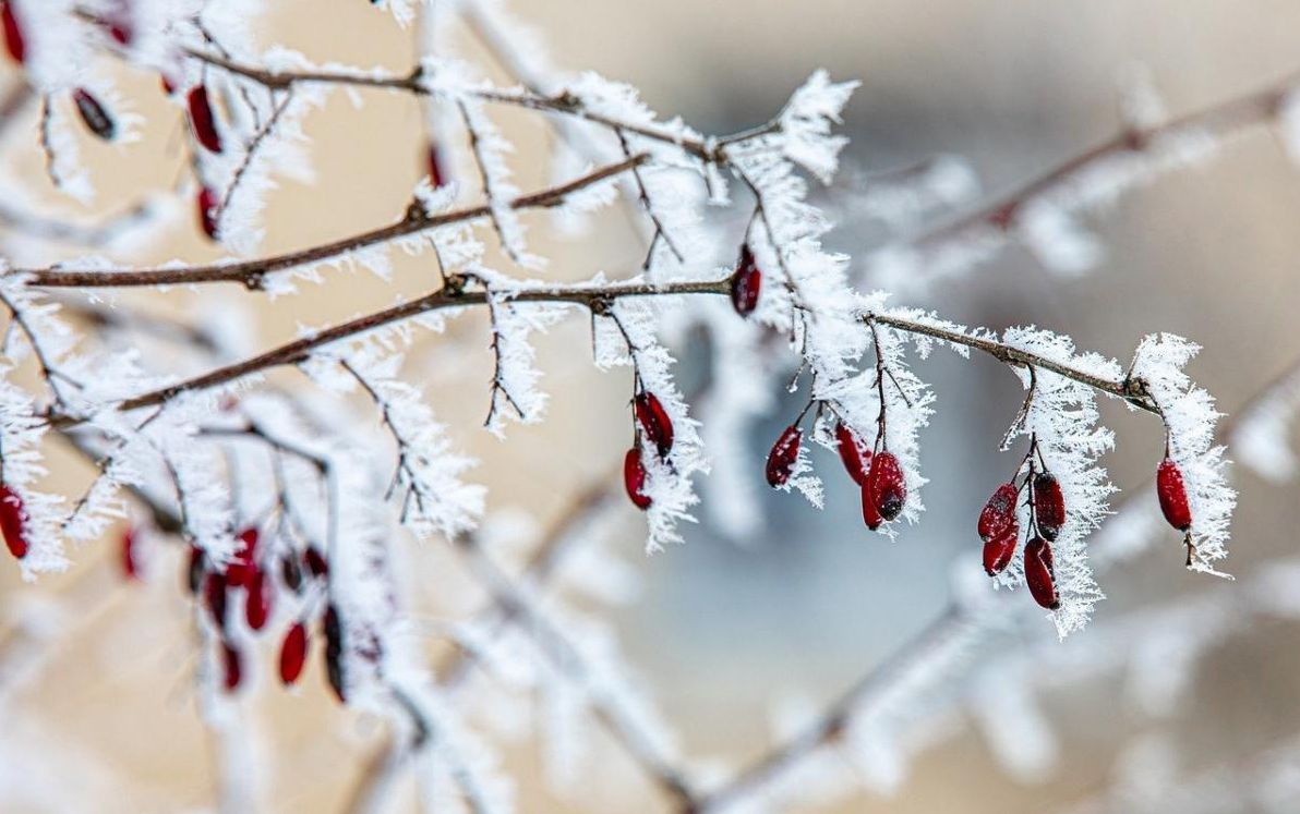укргідрометцентр-розповів-про-похолодання-та-сніг-напередодн-27c6b02a
