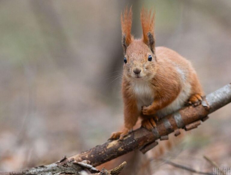 в-украіну-знову-иде-потепління-синоптикиня-розповіла-наскіль-6ebd0f4c