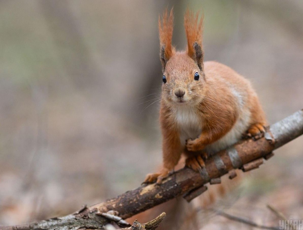 в-украіну-знову-иде-потепління-синоптикиня-розповіла-наскіль-6ebd0f4c