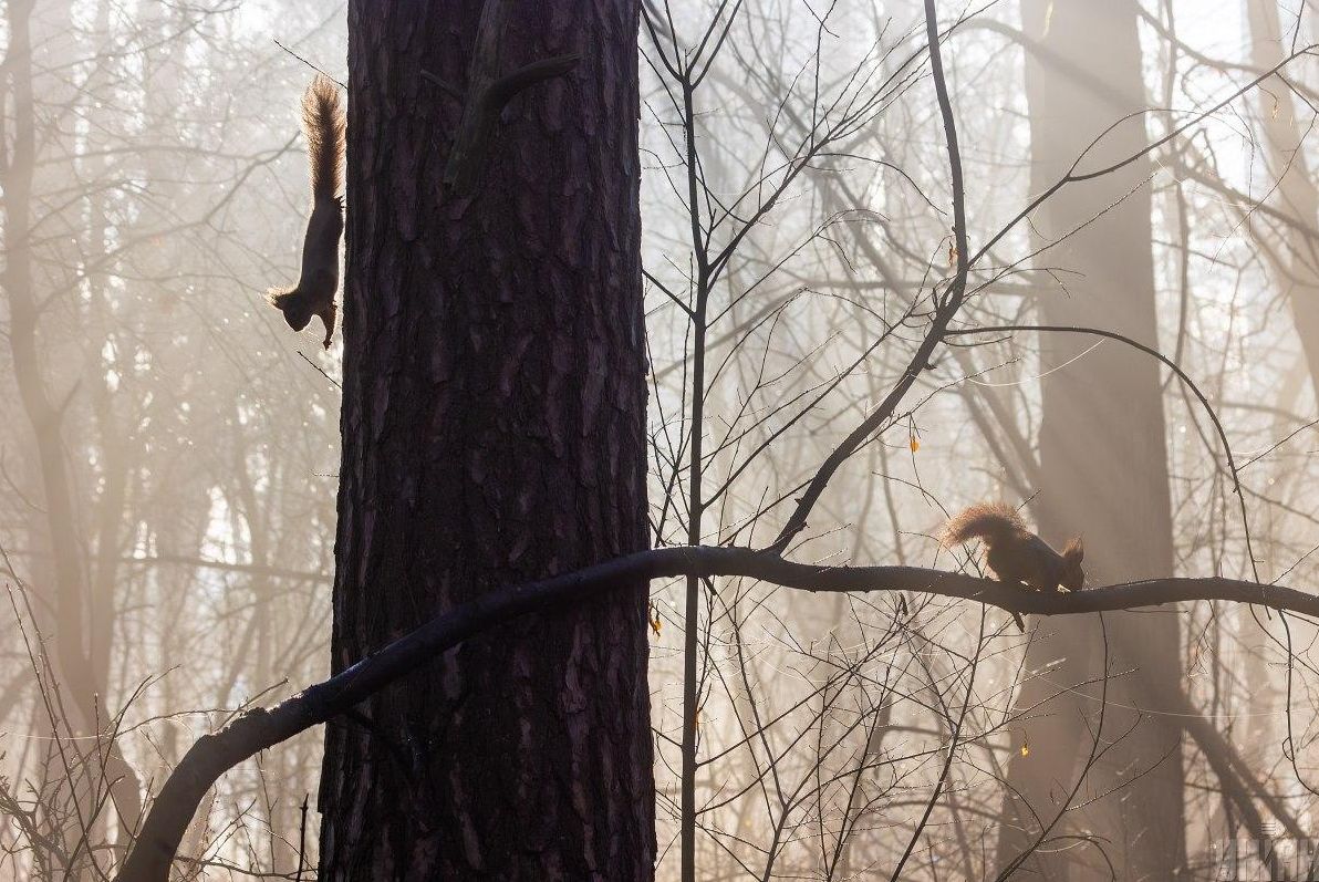 в-укргідрометцентрі-розповіли-якоі-погоди-чекати-3-грудня-2fa052fa