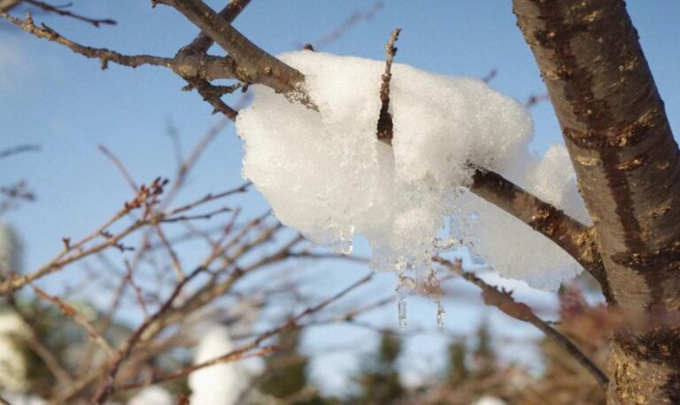 з-15-грудня-погода-в-украіні-почне-поліпшуватися-5589da14