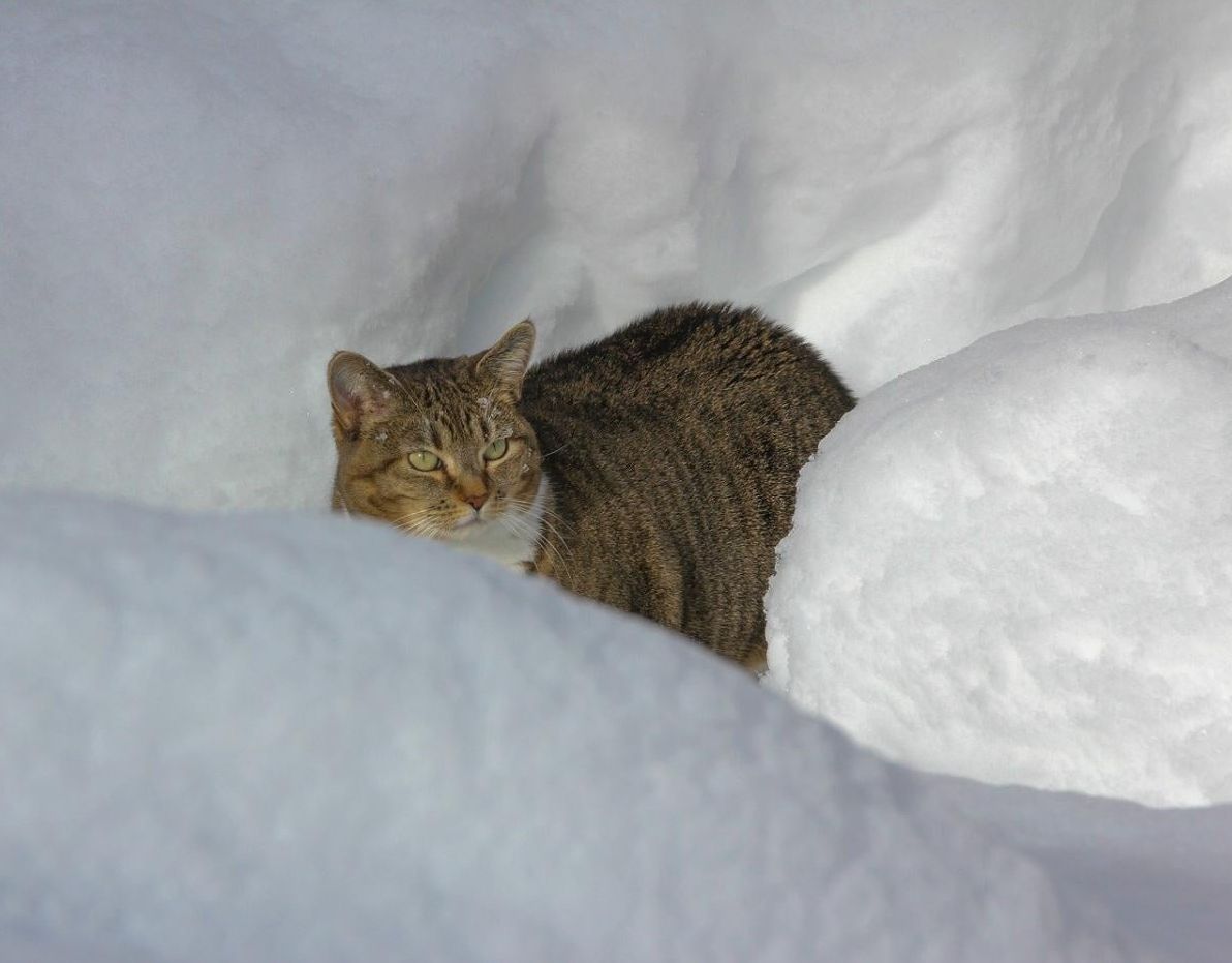 13-січня-на-украінців-чекають-сильні-морози-9cb17281