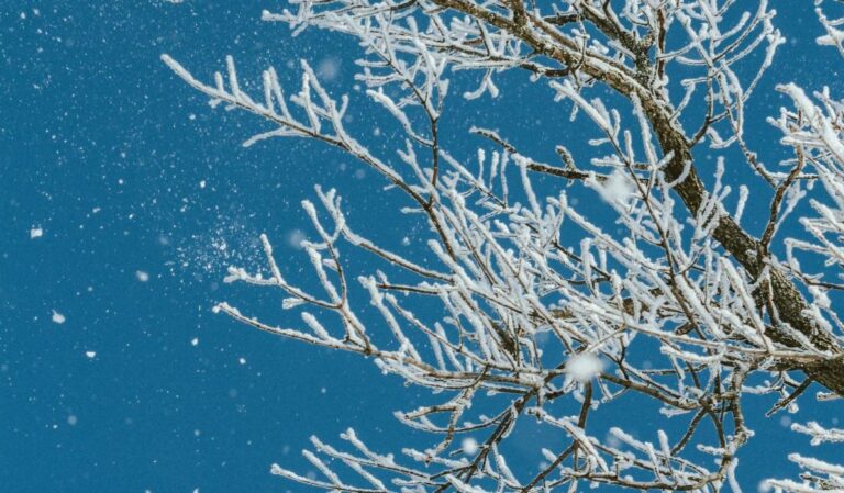 14-січня-замети-в-украіні-стануть-ще-більшими-де-сніжитиме-bb59ad7f