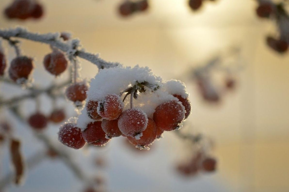 24-січня-по-всіи-украіні-итиме-сніг-a51780f7