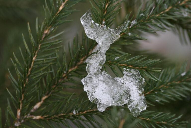 26-січня-в-украіну-увірветься-відлига-маиже-по-всіи-краіні-б-5f1f3145