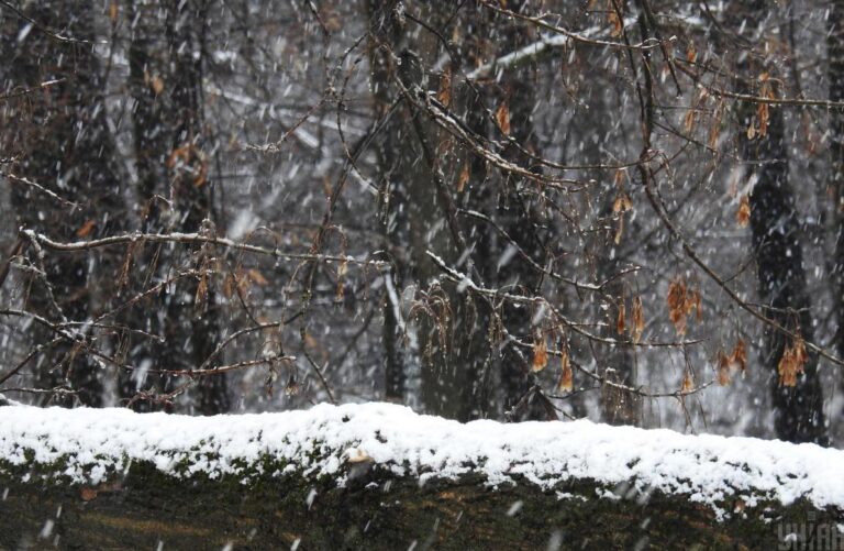 3-січня-частину-украіни-накриють-дощі-та-мокрии-сніг-ab54ee75