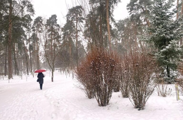 антициклон-руинується-синоптикиня-повідомила-як-зміниться-по-93101a96