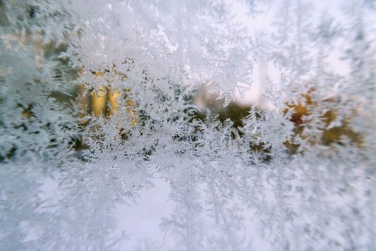 без-потепління-та-опадів-морози-наглухо-скують-украіну-наибл-c1180655