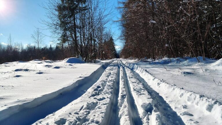 де-в-украіні-у-понеділок-будуть-наибільші-морози-діденко-дал-63b135a2