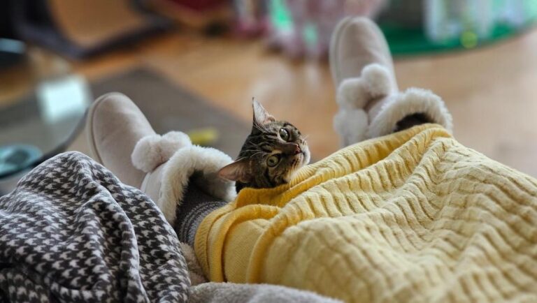 кінець-потепління-30-січня-до-украіни-повернуться-морози-2429132a