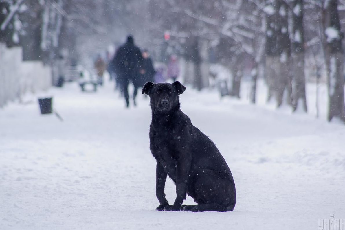 коротке-потепління-в-украіні-16-січня-зміниться-морозами-bfd0d9a3