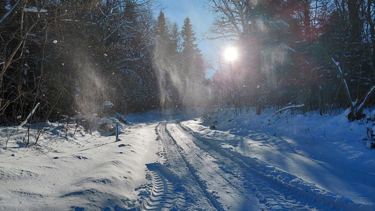 морози-до-22-і-сніг-сувора-зима-не-покине-украіну-наиближчим-f7bd6b93