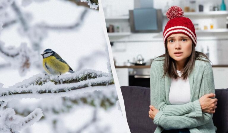 морози-в-украіні-посиляться-до-25-и-можуть-тривати-аж-до-лют-fe96f015