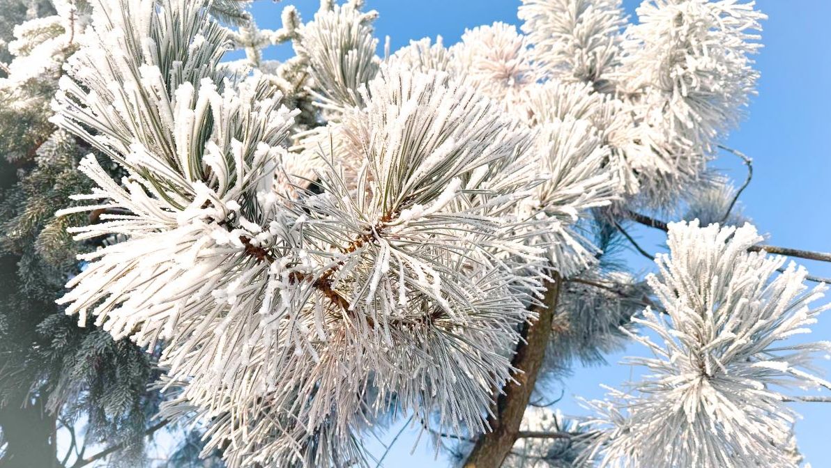 на-вихідних-в-украіну-нагрянуть-сильні-морози-до-17-c9dcd356