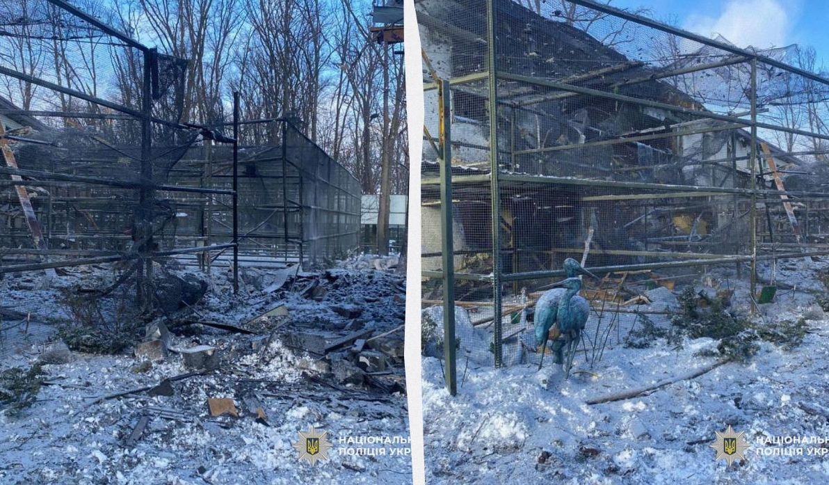 під-харковом-росіяни-влучили-кабом-в-зоопарк-постраждала-жін-825140f8