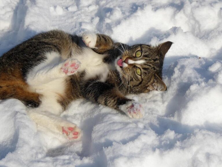 у-суботу-в-украіні-буде-тепло-синоптикиня-потішила-украінців-89816a11